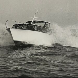 Meet your Posher, Louise